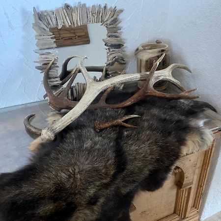 Haus Schnoeller Διαμέρισμα Bach  Εξωτερικό φωτογραφία