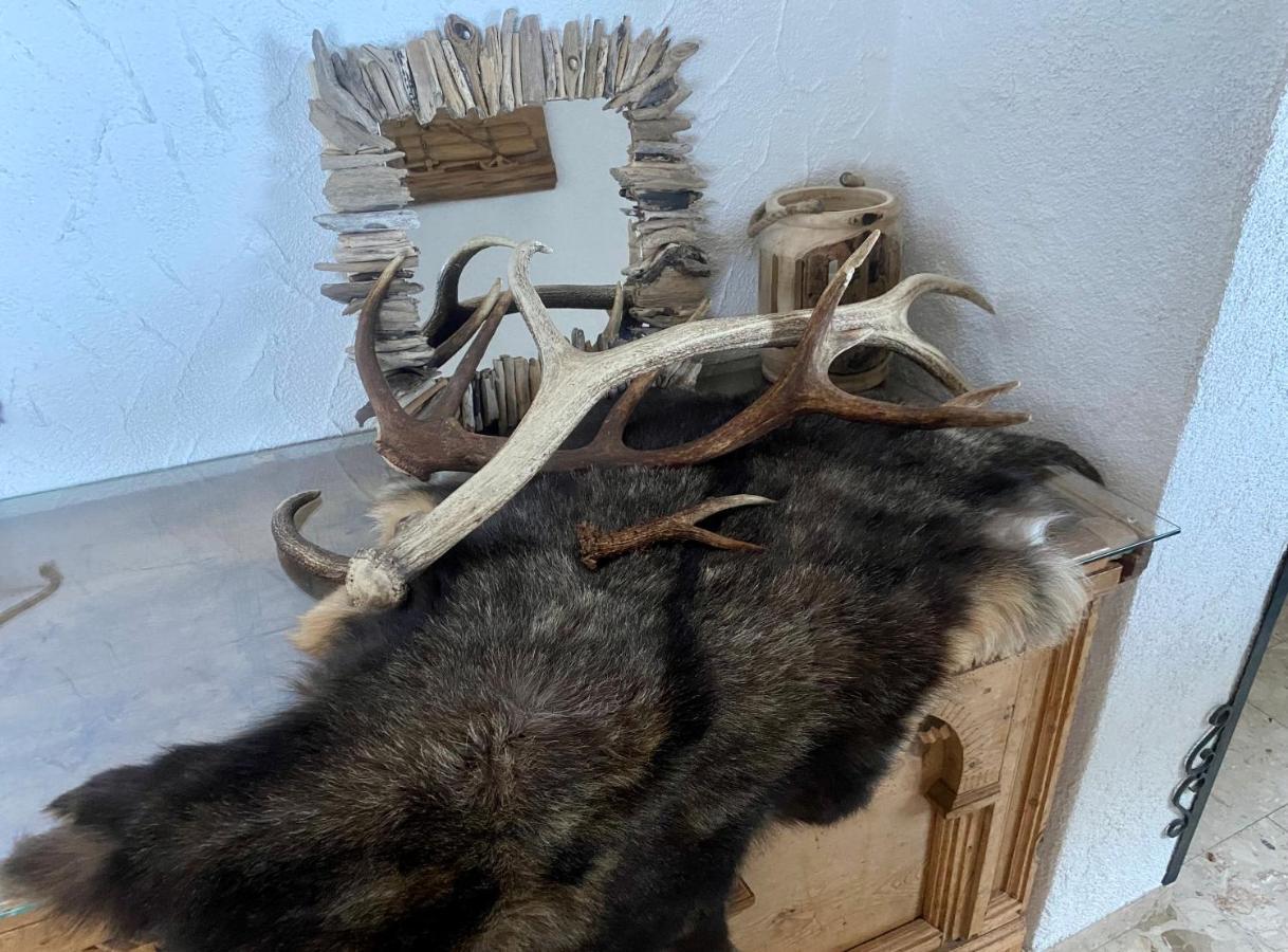 Haus Schnoeller Διαμέρισμα Bach  Εξωτερικό φωτογραφία